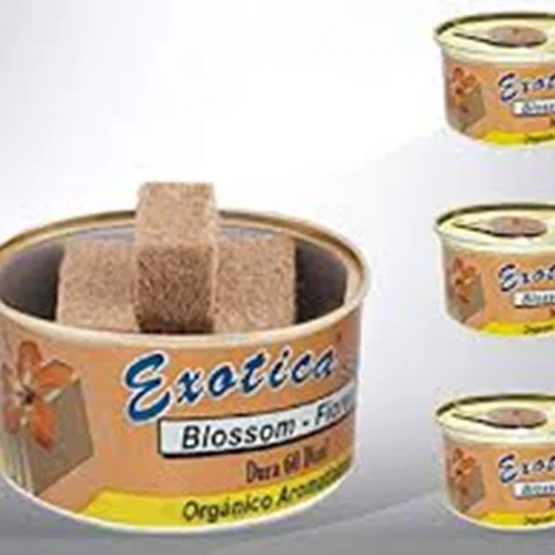 خوشبو کننده خودرو اگزوتیکا کن رایحه exotica ken scent BLOSSOM